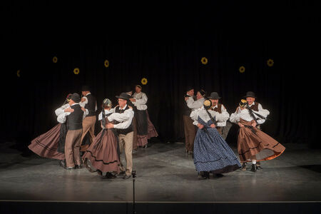 Maroltovo srečanje znova združilo koroške folklorne skupine (7)